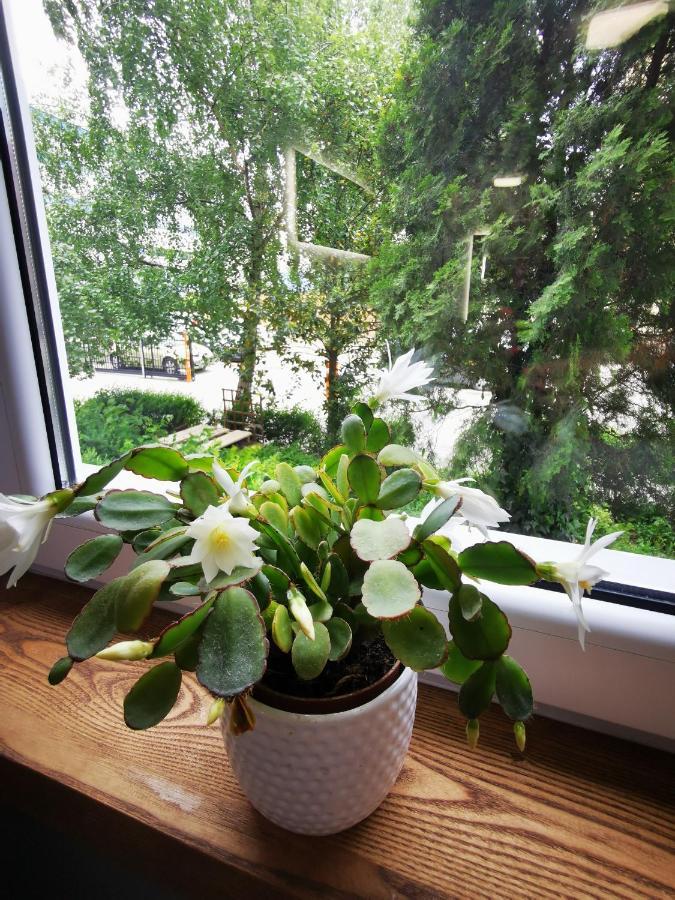 Apartament Przy Arsenale 브로츠와프 외부 사진