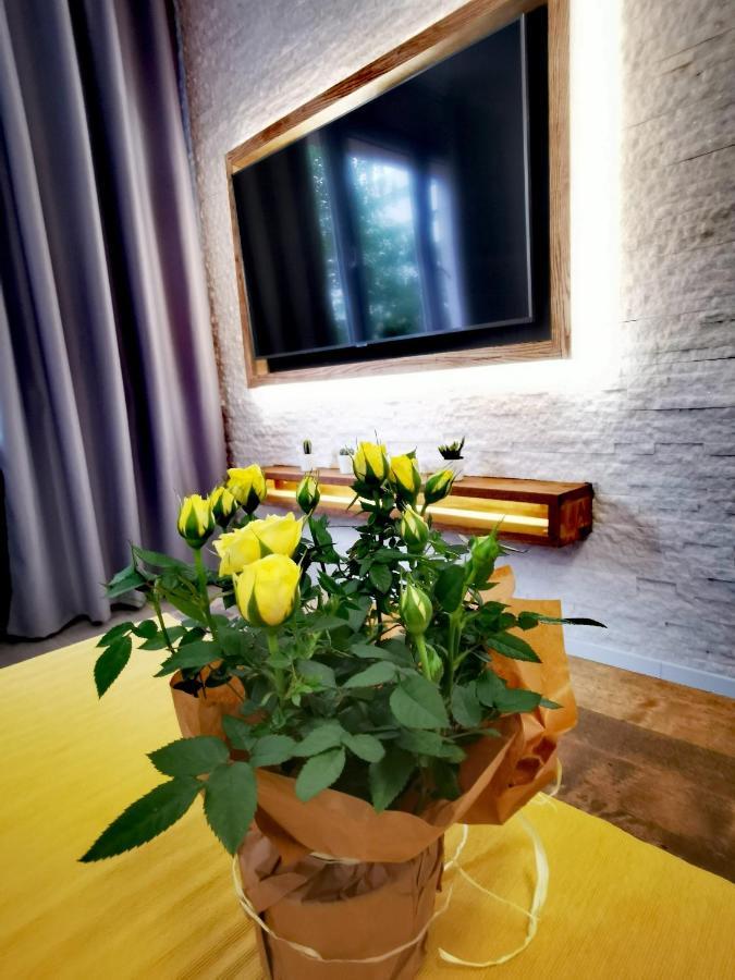 Apartament Przy Arsenale 브로츠와프 외부 사진